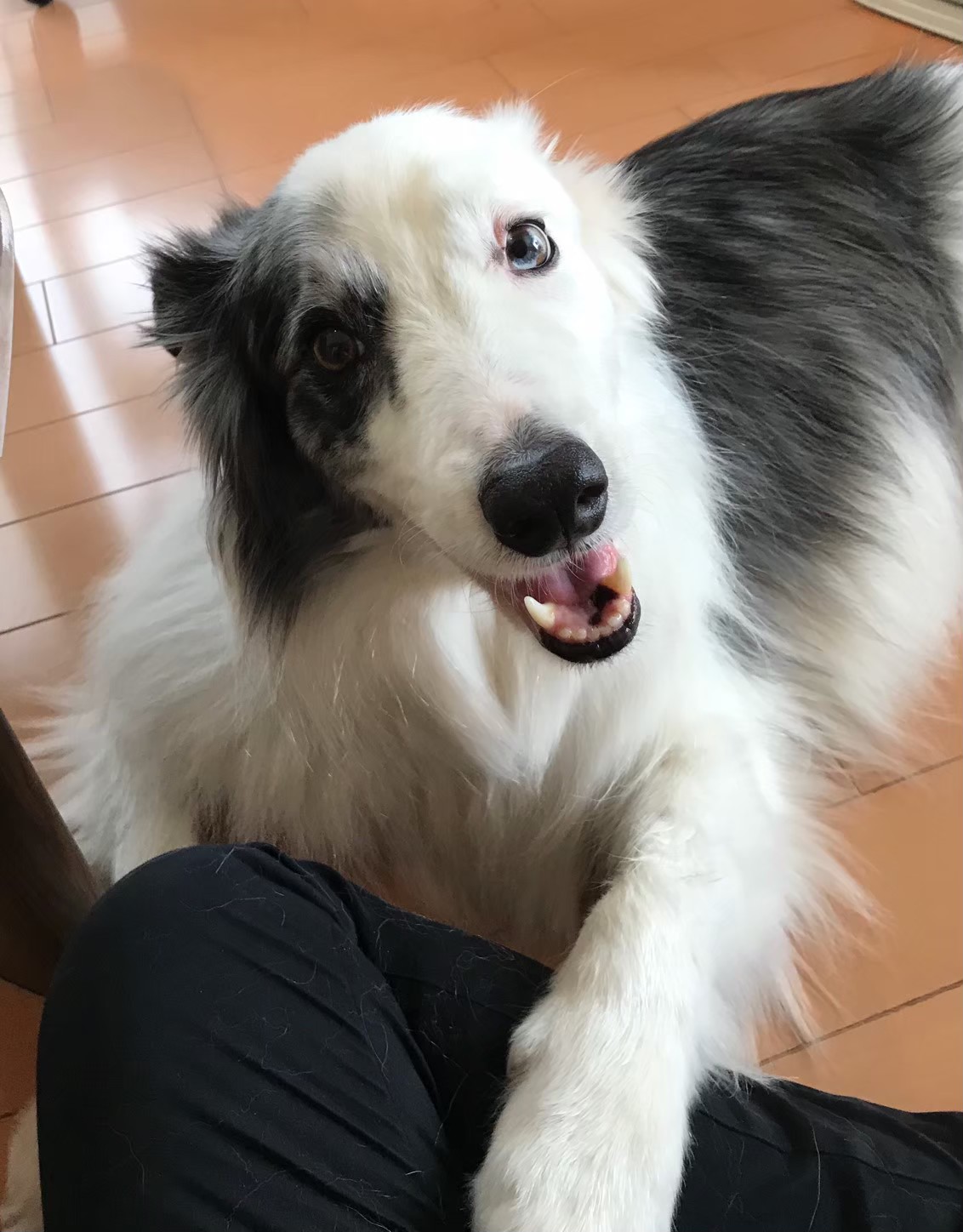 Free HTML5 Bootstrap Template